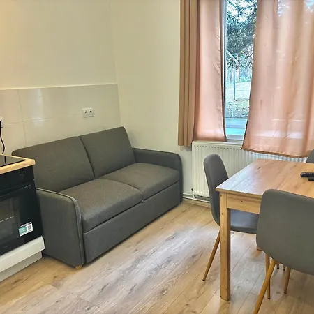 Apartament Karmel Torun Exterior photo